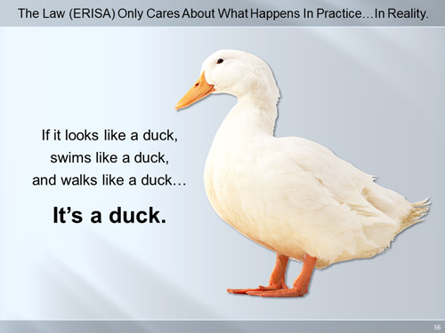 duck trial graphic